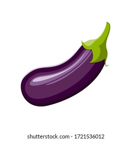 Vector ripe eggplant isolated on a white background.