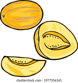 Vector ripe fruit hand drawn pepino, tropic fruits clip art, doodles