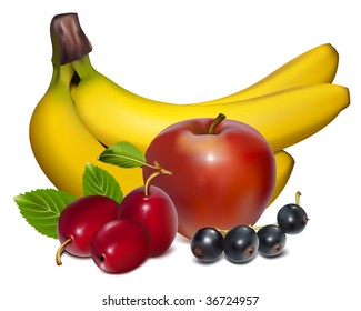 Vector. Frutas y bayas maduras.