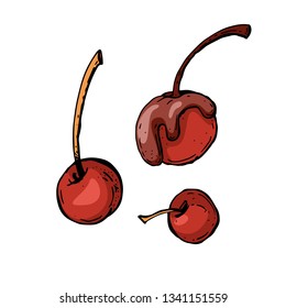 Vector ripe juicy cherry with slices. Templates healthy lifestyle, diet, nutrition. Isolated on white background. Vector.