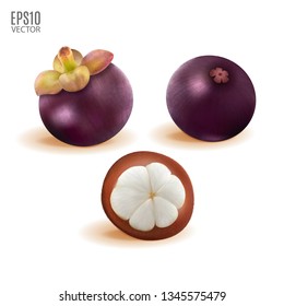 Vector ripe mangosteen set isolated on white background closeup. Realistic vector, 3d illustration