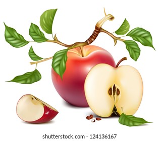 Vector. Ripe red apples with green leaves.