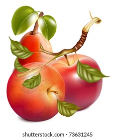 Vector. Ripe red apples and pear with green leaves.