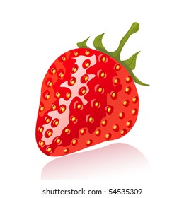 Vector ripe strawberry