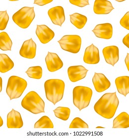 Vector Ripe Yellow Corn Seed Seamless Pattern Isolated on White Background