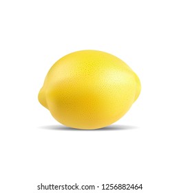 vector ripe yellow lemon