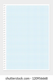 Vector ripped blank squared notepad page
