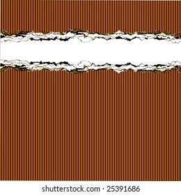 Vector Ripped Cardboard