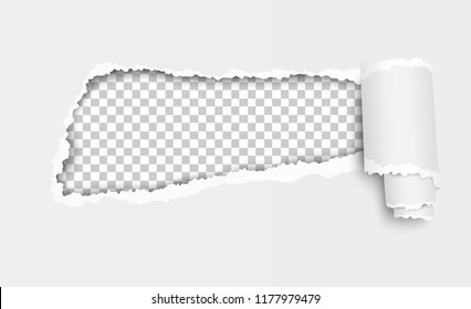 Vector Ripped Hole In White Sheet Of Paper With Paper Curl And Transparent Background In The Resulting Window