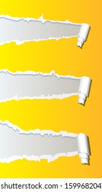 Vector ripped paper background.