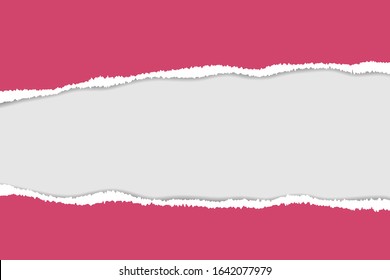 Vector of ripped paper. The paper was ripped background.