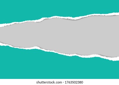 Vector of ripped paper. The paper was ripped background.