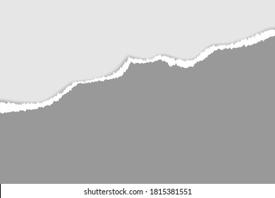 Vector of ripped paper. The paper was ripped background.