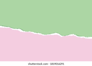 Vector of ripped paper. The paper was ripped background.