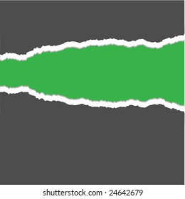 vector ripped paper with blank background