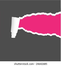 vector ripped paper with blank background
