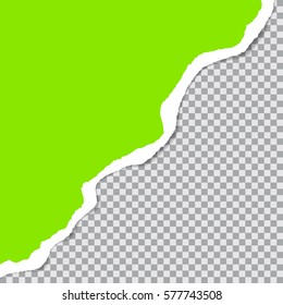 Vector ripped paper edge on a transparent backgrop. Isolated  card. Colored cracked sticker with 3d shadow. Space for text.