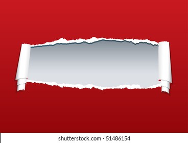 vector ripped paper with gray background in separate layer