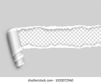 Vector ripped paper, layered - stock vector