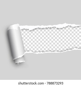 Vector ripped paper, layered - stock vector