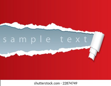 vector ripped paper with sample text in separate layer