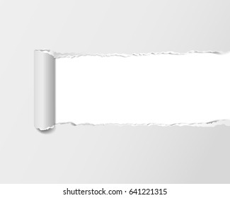 Vector ripped piece of paper on white background with space for your text
