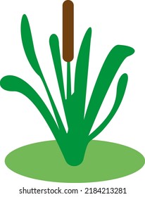Vector de cañas de río, plantas silvestres. Naturaleza y flora de ríos y lagunas.