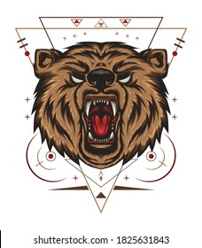 Vector Roaring Bear. Furious bear head illustration.