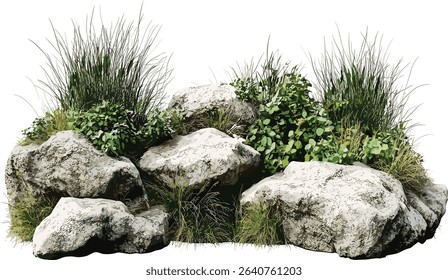 Vector rocks and weeds, grassy landscape transparent, plant composition, nature background, isolated elements, grass field, outdoor scene, natural landscape
