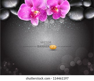 Vector romantic background with two orchids