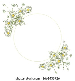 Vector romantic design of healing chamomile with place for text. Healing pharmaceutical grass. Seasonal set. For different designs, prints, for cards, labels.