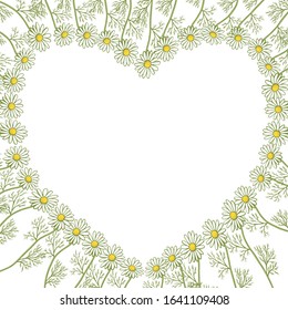 Vector romantic frame in the shape of a heart made of medicinal chamomile. Pattern with delicate white healing flowers. Seasonal set. For cards, congratulations, various designs, labels.