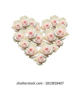 Vector Romantic Heart, Light Pink Roses Isolated on White Background, Illustration Template, Elegane Romance Decorative Element.