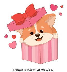 Vector romantic poster with funny corgi puppy in gift box with bow. Cute Valentine s day greeting card. Funny characters