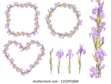 Vector romantic set with irises. Colorful illustration - frames, hearts, seamless border isolated on white. 