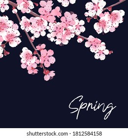 Vector romantic spring illustration. Invitation template with pink sakura. Floral greeting card. Beautiful print with blossoming dark and light cherry flowers on blue sky. Japanese wedding style.