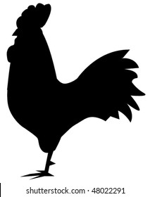 vector rooster