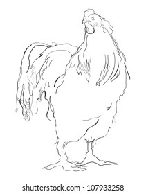 Vector rooster. Chicken and cockerel