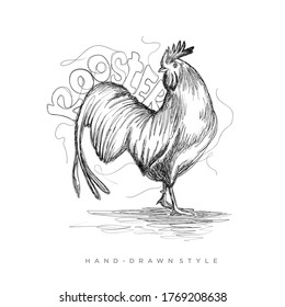 vector rooster in a hand-drawn style, illustration of a black and white animal