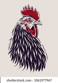 Vector Rooster Illustration. Engraving style cock. 