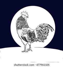 vector rooster.Calendar 2017. Chinese year of the fire rooster