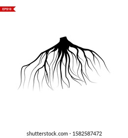 Vector Root of an Underground Tree. Tree Root Icon. With a white background