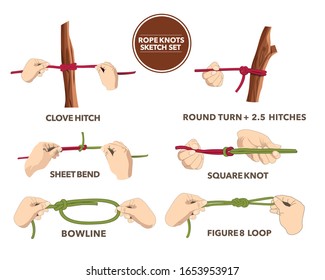 vector rope knots set with different hitches and bends on white background isolated illustration
