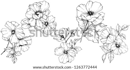 Similar – Image, Stock Photo Wild Flowers and Buds