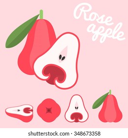 Vector Rose Apple, Flat Design