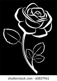 vector rose art black backdrop
