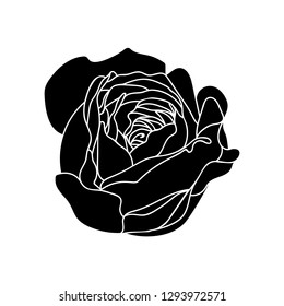 Vector Rose Black Silhouette Isolated On Stock Vector (Royalty Free ...