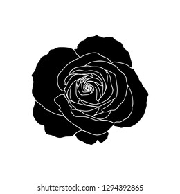 Vector rose. Black silhouette isolated on white.