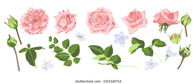Vector Rose Bouquet, Vintage Floral Decoration. Invite Card Design in Rustic Style. Hand Drawn Watercolor Roses, Bouquet of Flowers and Green Leaf. Romantic Summer Garden Wreath of Pink Isolated Rose.