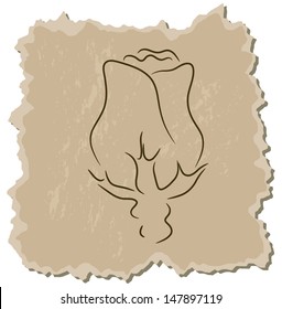 Vector rose bud on a brown cardboard background
